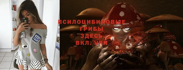 экстази Арсеньев