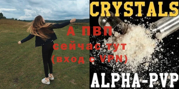 экстази Арсеньев