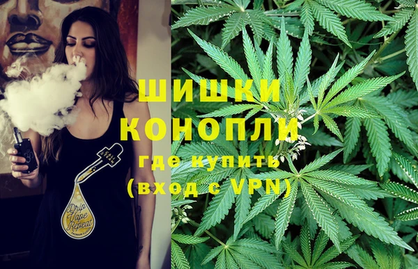 круглые Аркадак