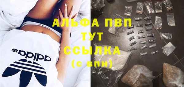 круглые Аркадак